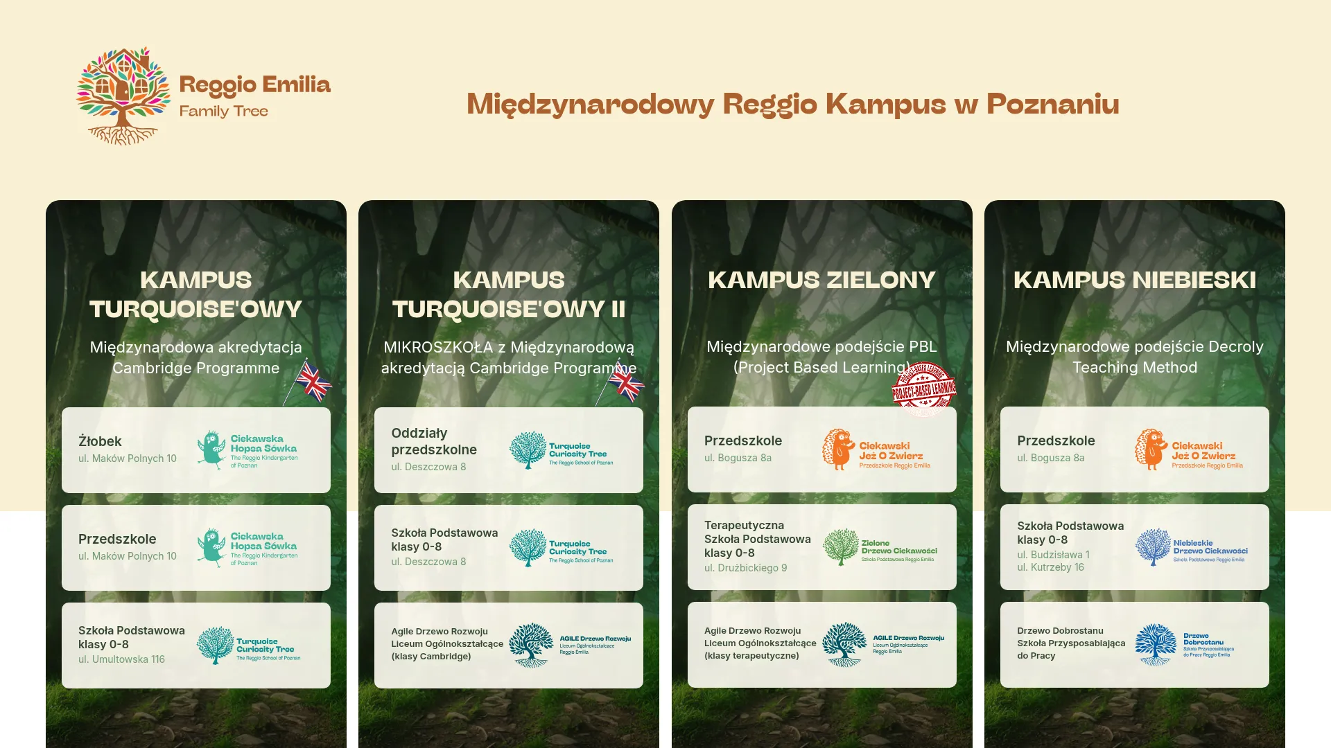 Screenshot of reggioemiliapoznan.pl